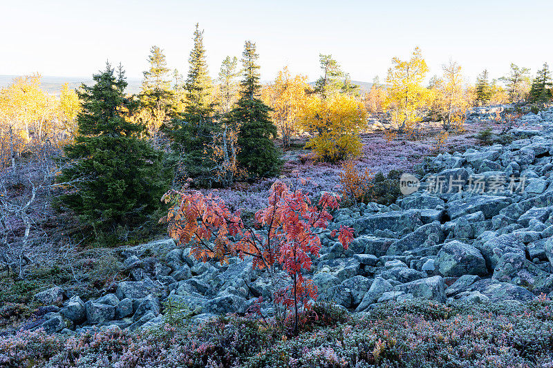 A view from a rocky Iso Pyhätunturi peak on an autumn morning in Salla National Park, Finland